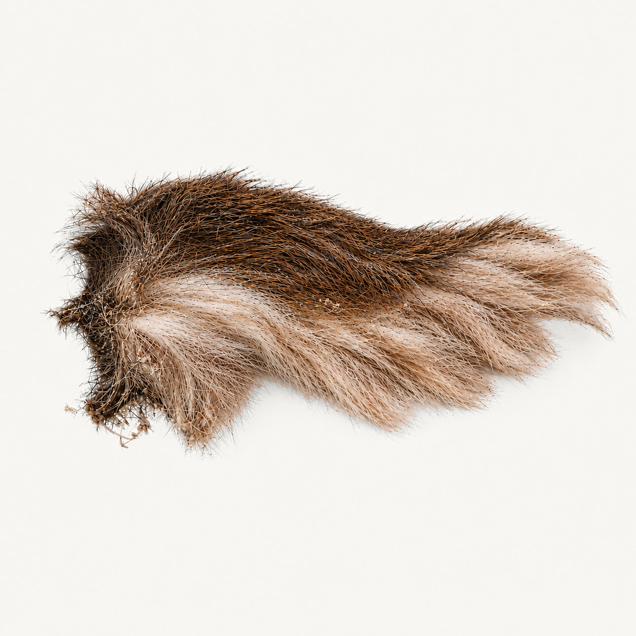 Dried Whitetail Deer Tail - Natural Bucktail