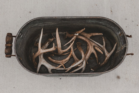 Bulk Whitetail Deer Antlers - Sold by the Pound