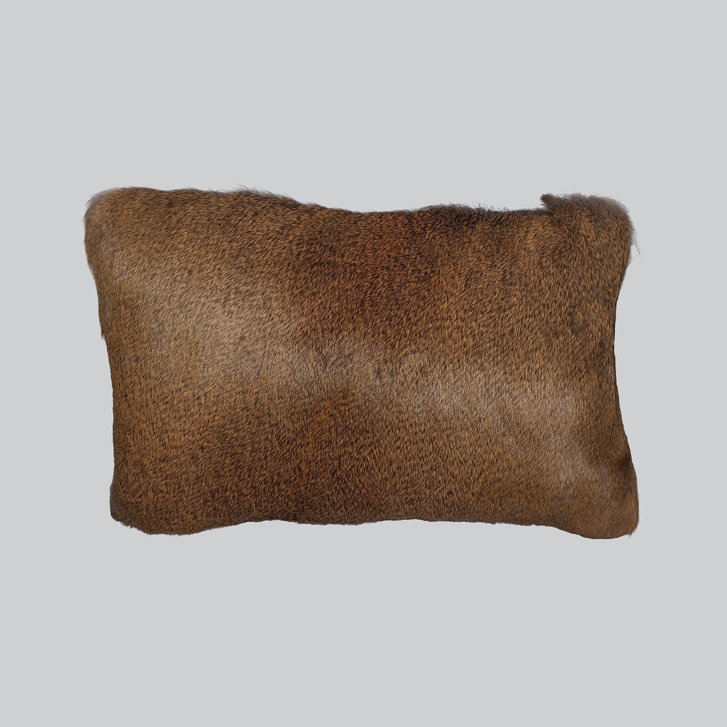 Hair-On Whitetail Deer Hide Lumbar Pillow - Filled